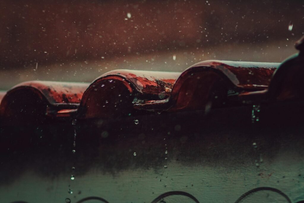 pexels allanhf recadre 2560x1707